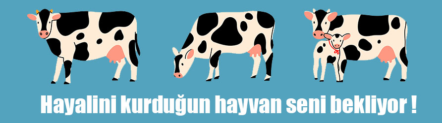 Hayvancım